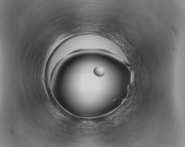 X0000112480195200908311418