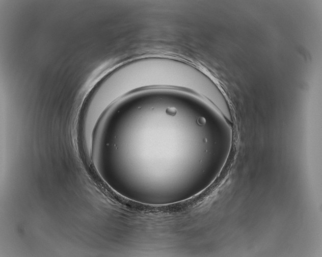 X0000112480199200908311418