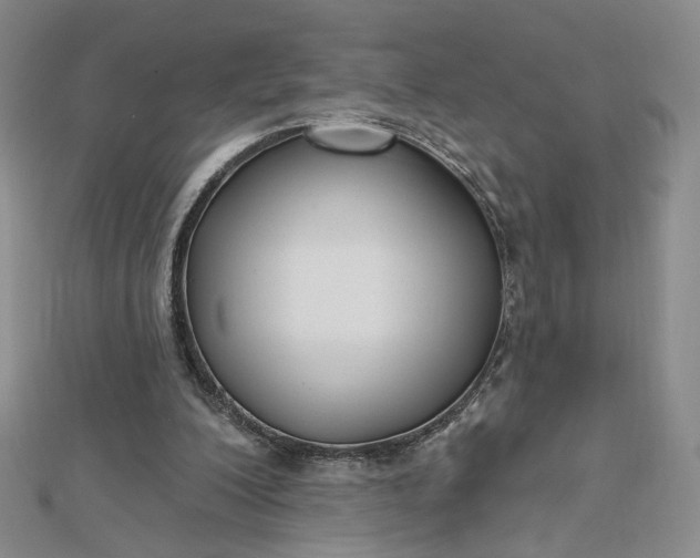 X0000112480200200908311418