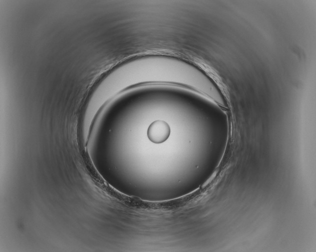 X0000112480201200908311418