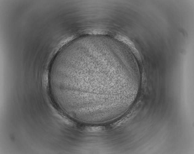 X0000112480202200908311418