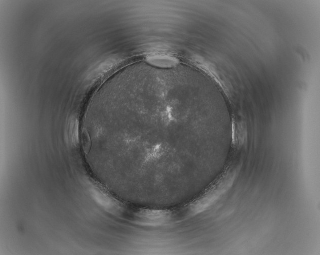 X0000112480205200908311418