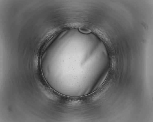 X0000112480206200908311418