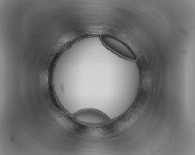 X0000112480207200908311418