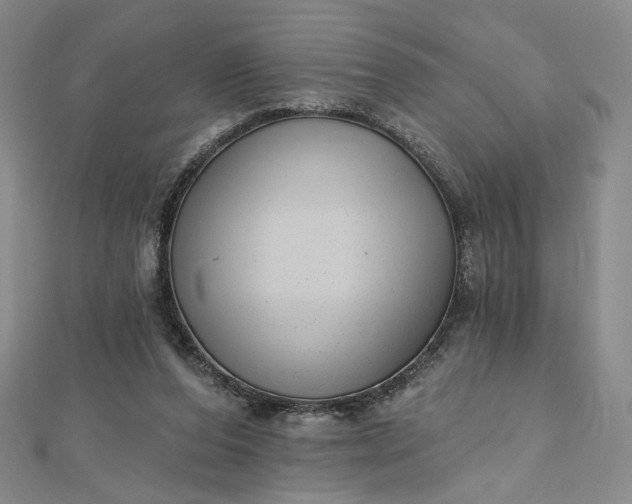 X0000112480208200908311418