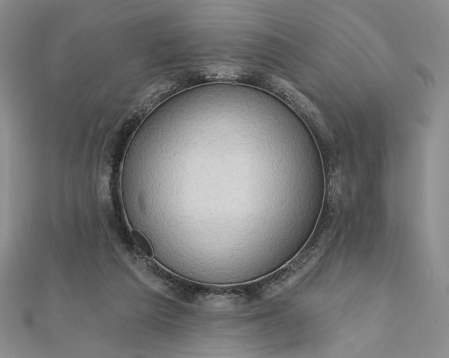 X0000112480209200908311418