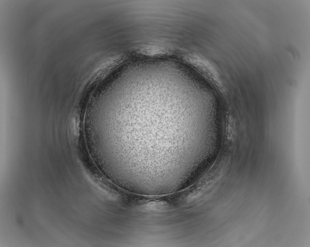 X0000112480210200908311418