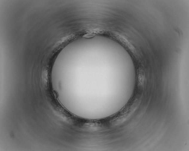 X0000112480211200908311418