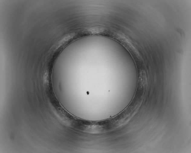 X0000112480212200908311418