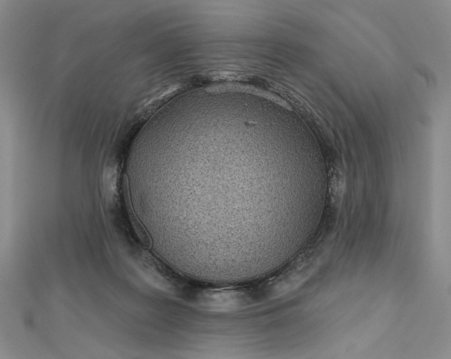 X0000112480219200908311418