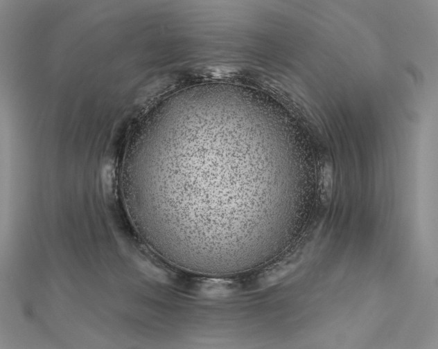 X0000112480222200908311418