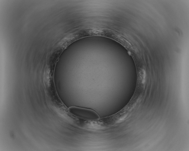 X0000112480223200908311418