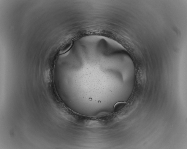 X0000112480224200908311418