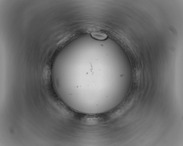 X0000112480228200908311418