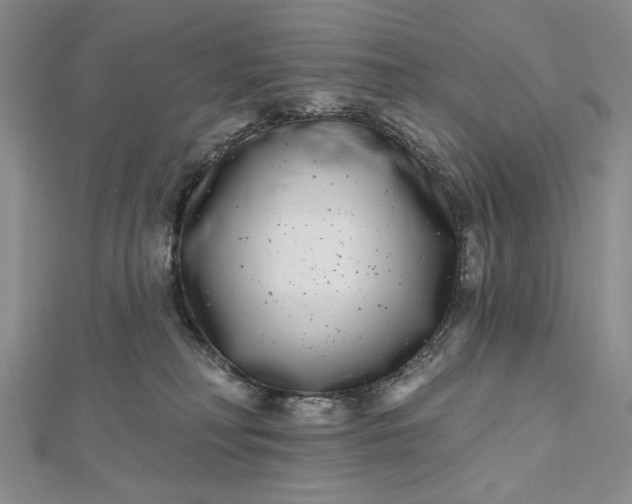 X0000112480230200908311418