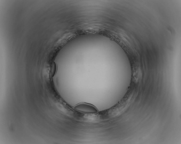 X0000112480231200908311417