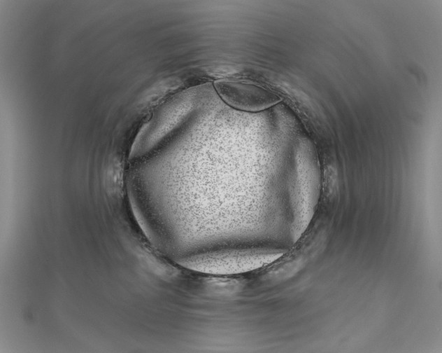 X0000112480234200908311417