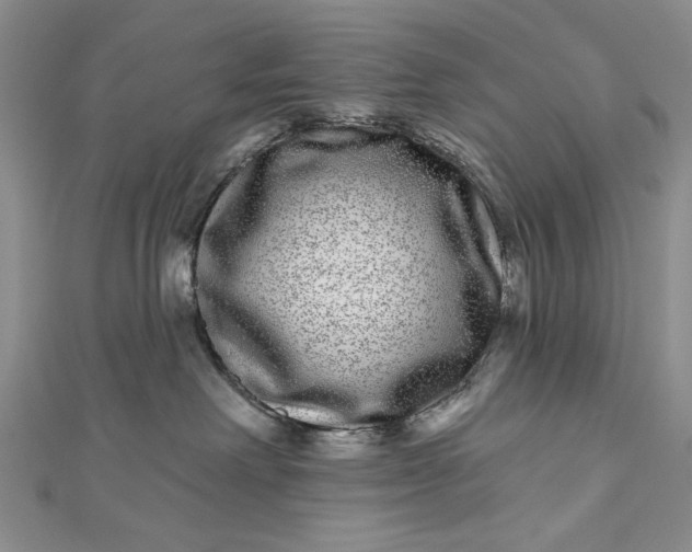 X0000112480238200908311417