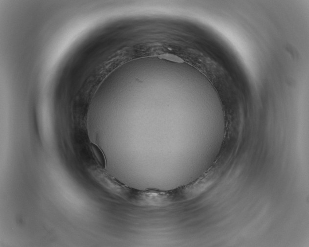 X0000112480239200908311417