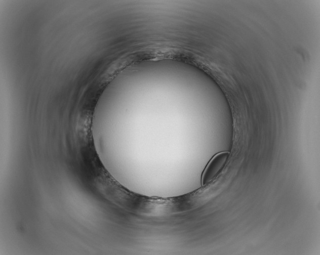 X0000112480240200908311417