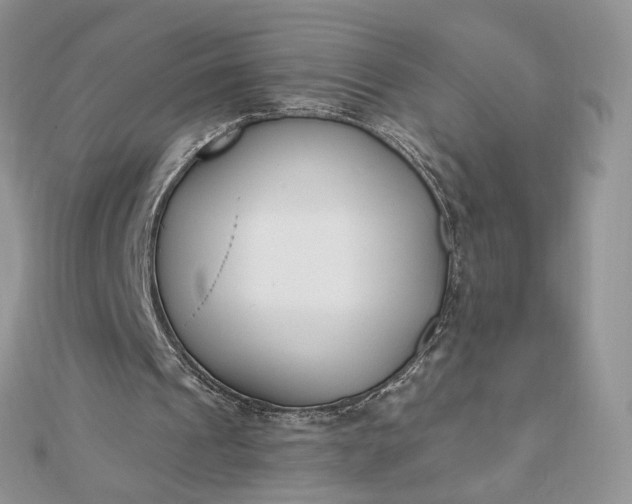 X0000112480241200908311417