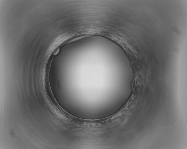 X0000112480242200908311417