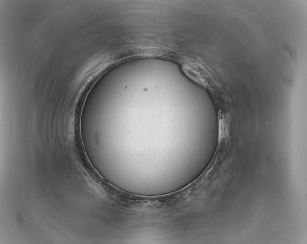 X0000112480243200908311417