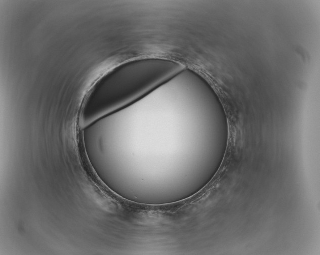 X0000112480244200908311417