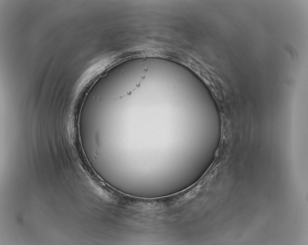 X0000112480245200908311417