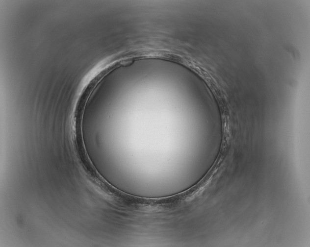 X0000112480246200908311417