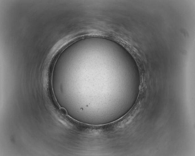 X0000112480247200908311417