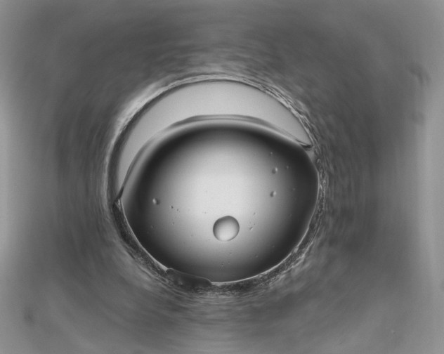 X0000112480248200908311417