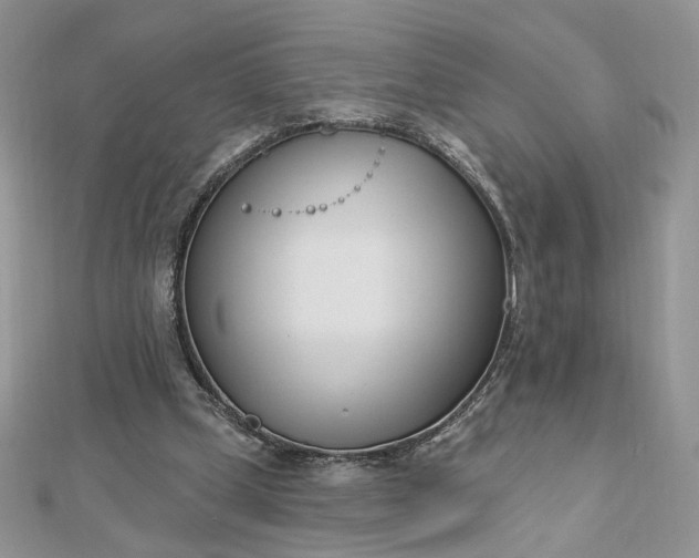 X0000112480249200908311417