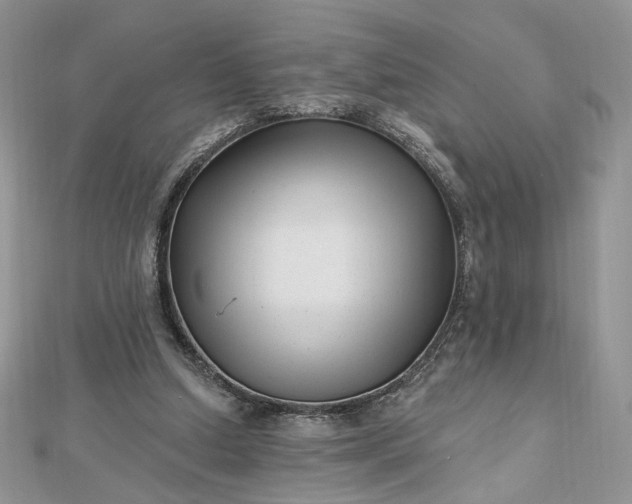 X0000112480250200908311417