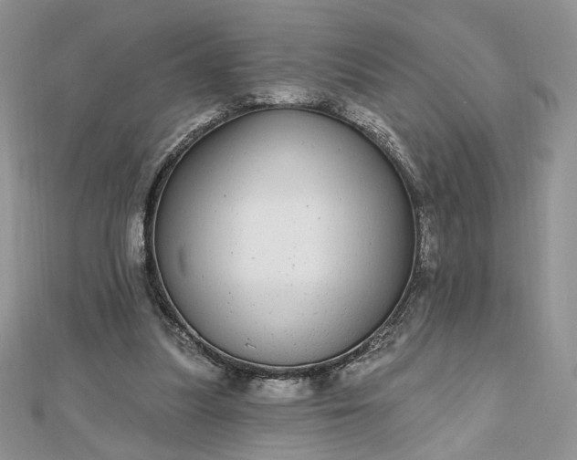 X0000112480251200908311417