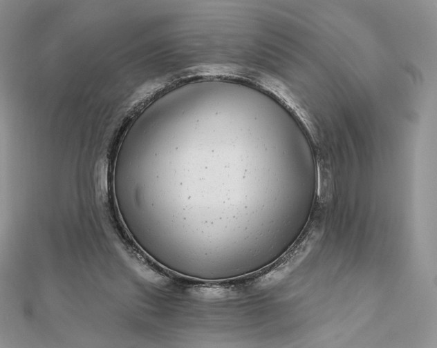 X0000112480253200908311417