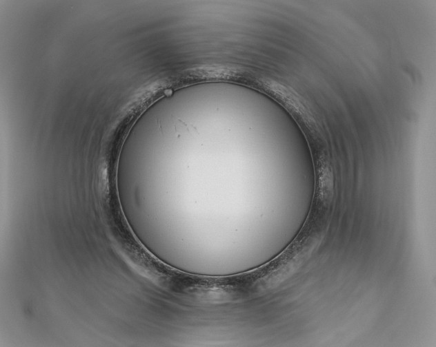 X0000112480254200908311417