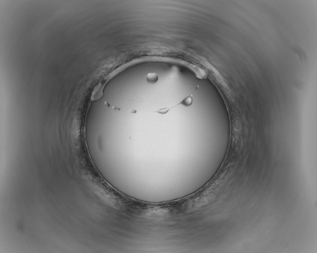 X0000112480257200908311417