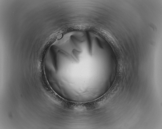 X0000112480258200908311417