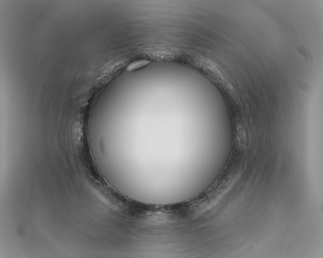 X0000112480259200908311417