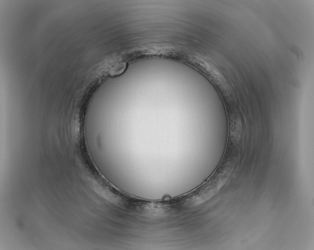 X0000112480261200908311417