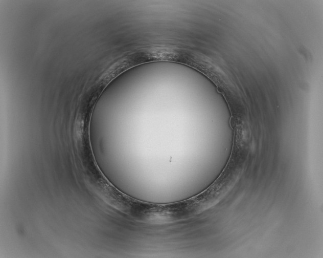 X0000112480263200908311417