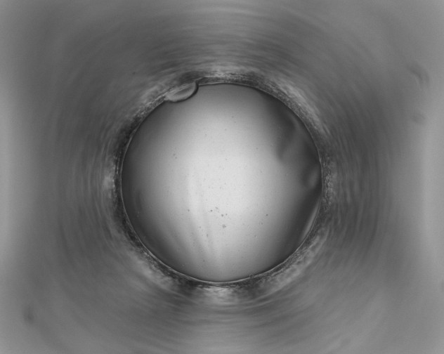 X0000112480265200908311417