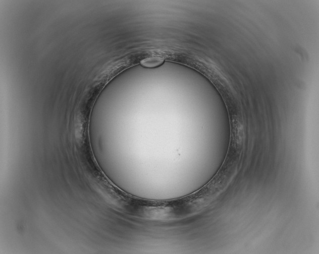 X0000112480266200908311417