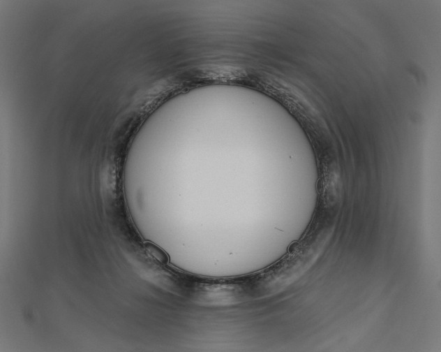 X0000112480268200908311417