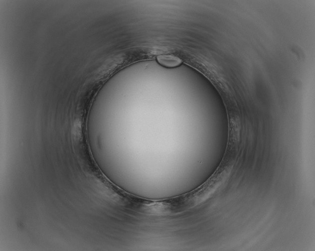 X0000112480269200908311417