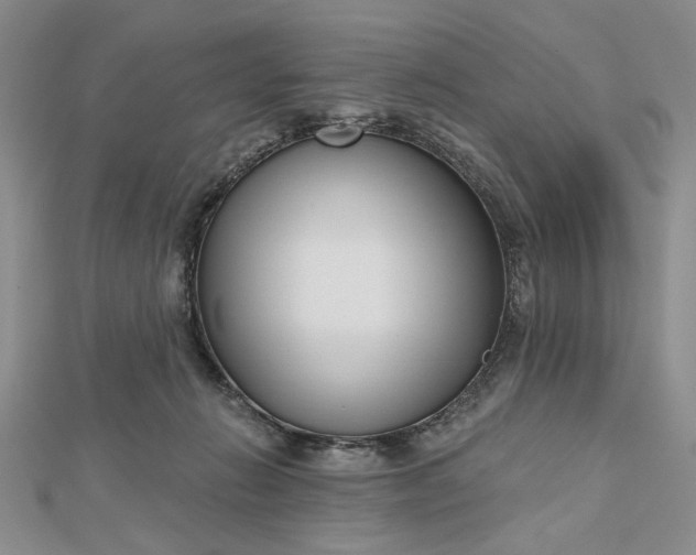 X0000112480270200908311417