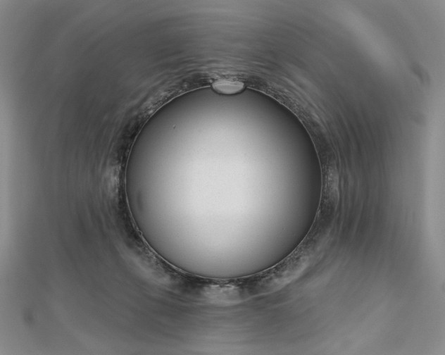 X0000112480271200908311417