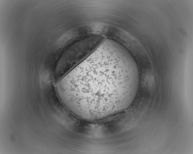 X0000112480272200908311417