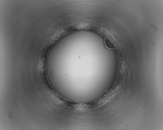 X0000112480273200908311417